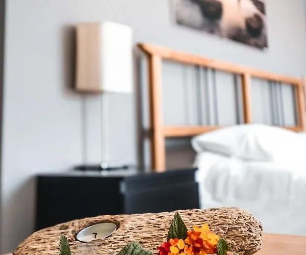 בית הארחה Sandycamps Surf House