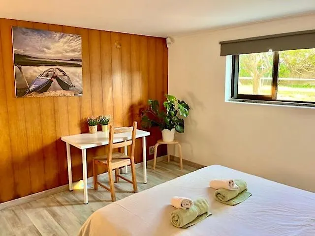 בית הארחה Sandycamps Surf House *